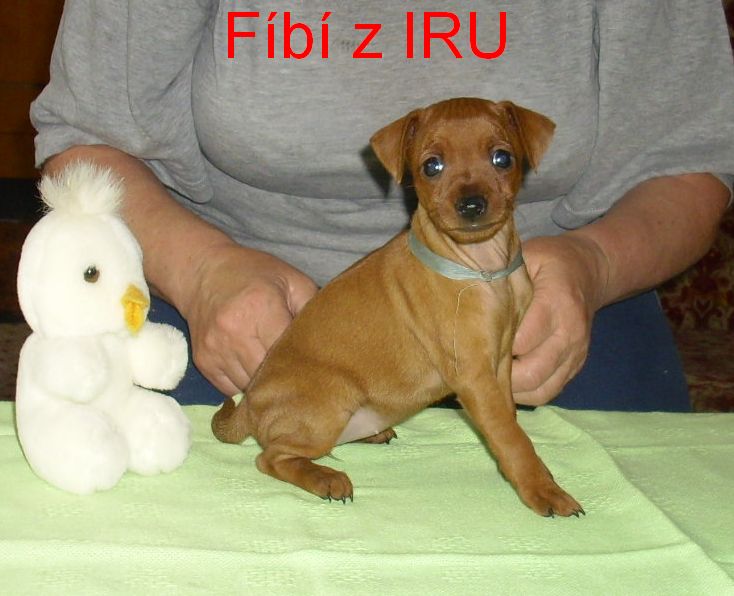 f_b_-z-iru-9.5.2010.